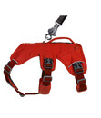 Bild 3 von RUFFWEAR® Hundegeschirr Web Master™ Red Sumac