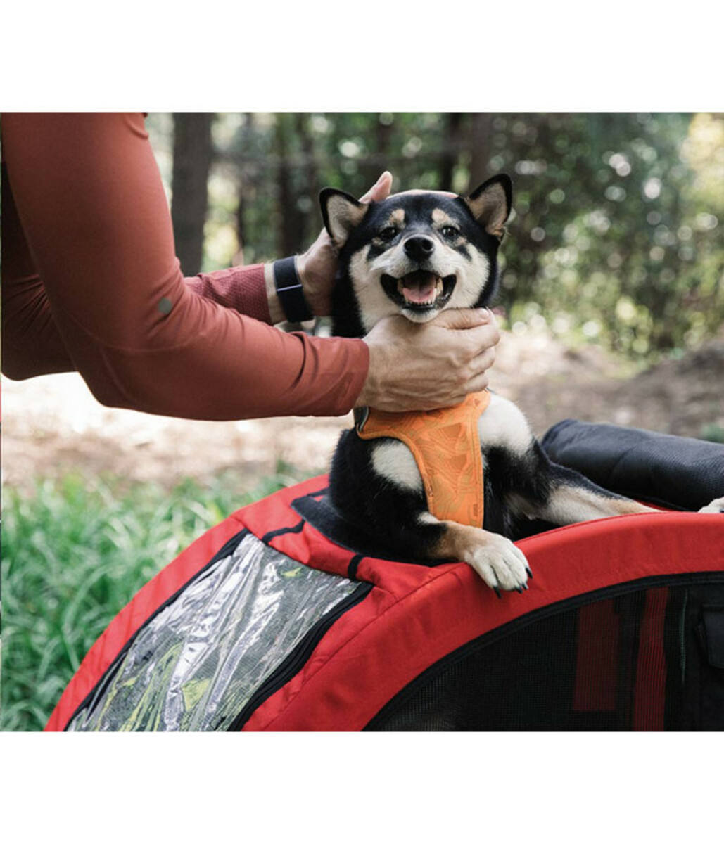 Bild 2 von Nobby Fahrradanhänhänger Senlima