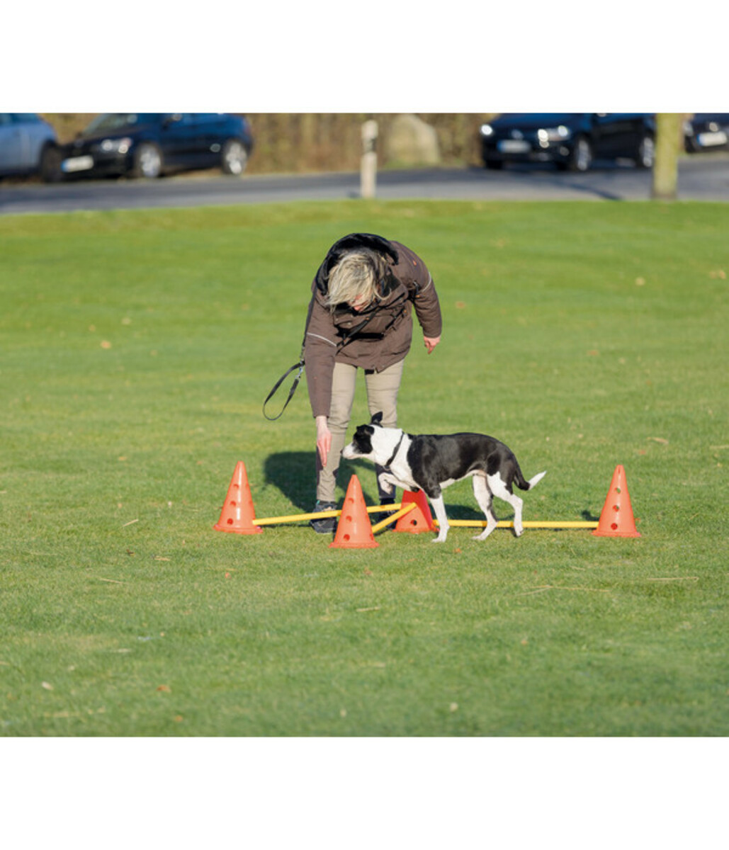 Bild 3 von Trixie Pylonen-Hindernis-Set, 9-teilig