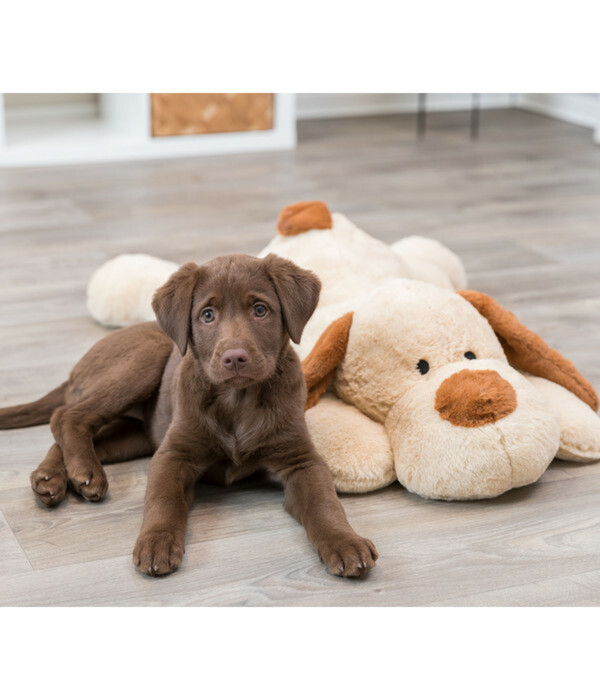Bild 3 von Trixie Hundespielzeug Ankuschelhund Benny