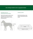 Bild 3 von petlando® Orthopädisches Hundebett Lima Ortho, rechteckig