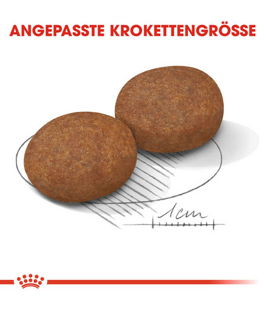 Bild 4 von ROYAL CANIN® Trockenfutter für Hunde Medium Adult 7+