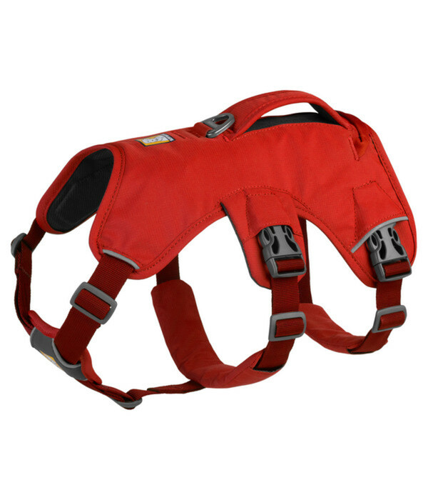 Bild 1 von RUFFWEAR® Hundegeschirr Web Master™ Red Sumac