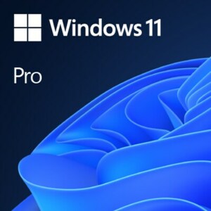 Microsoft Windows 11 Pro | OEM | DVD & Produktschlüssel