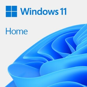 Microsoft Windows 11 Home | OEM | DVD & Produktschlüssel