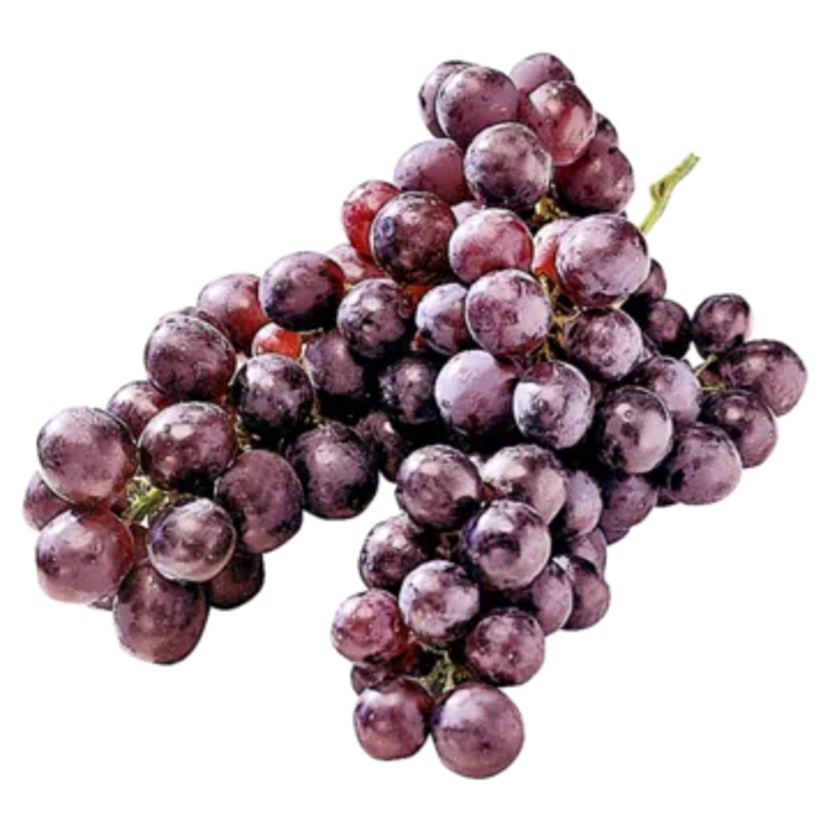 Bild 1 von Südafrika
Tafeltrauben rosé kernlos