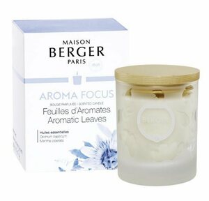 MAISON BERGER PARIS Duftkerze »Duftkerze Aroma Focus 180 g«, Ein aromatischer und frischer Duft, der ätherische Öle enthält, die dafür bekannt sind, Kreativität und Konzentration zu fördern.