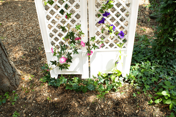 Bild 4 von KHW Spalier 43 cm mit zwei Erdspießen, 2er Set, weiß