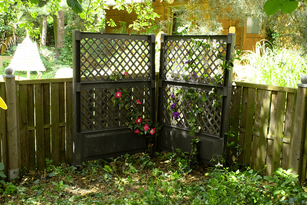 Bild 2 von KHW Spalier (2-tlg.) 100 cm mit Erdspieß, anthrazit - 2er Set