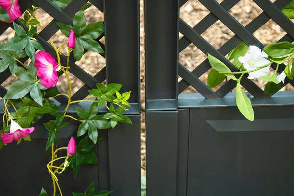 Bild 4 von KHW Spalier 43 cm mit zwei Erdspießen, 2er Set, anthrazit