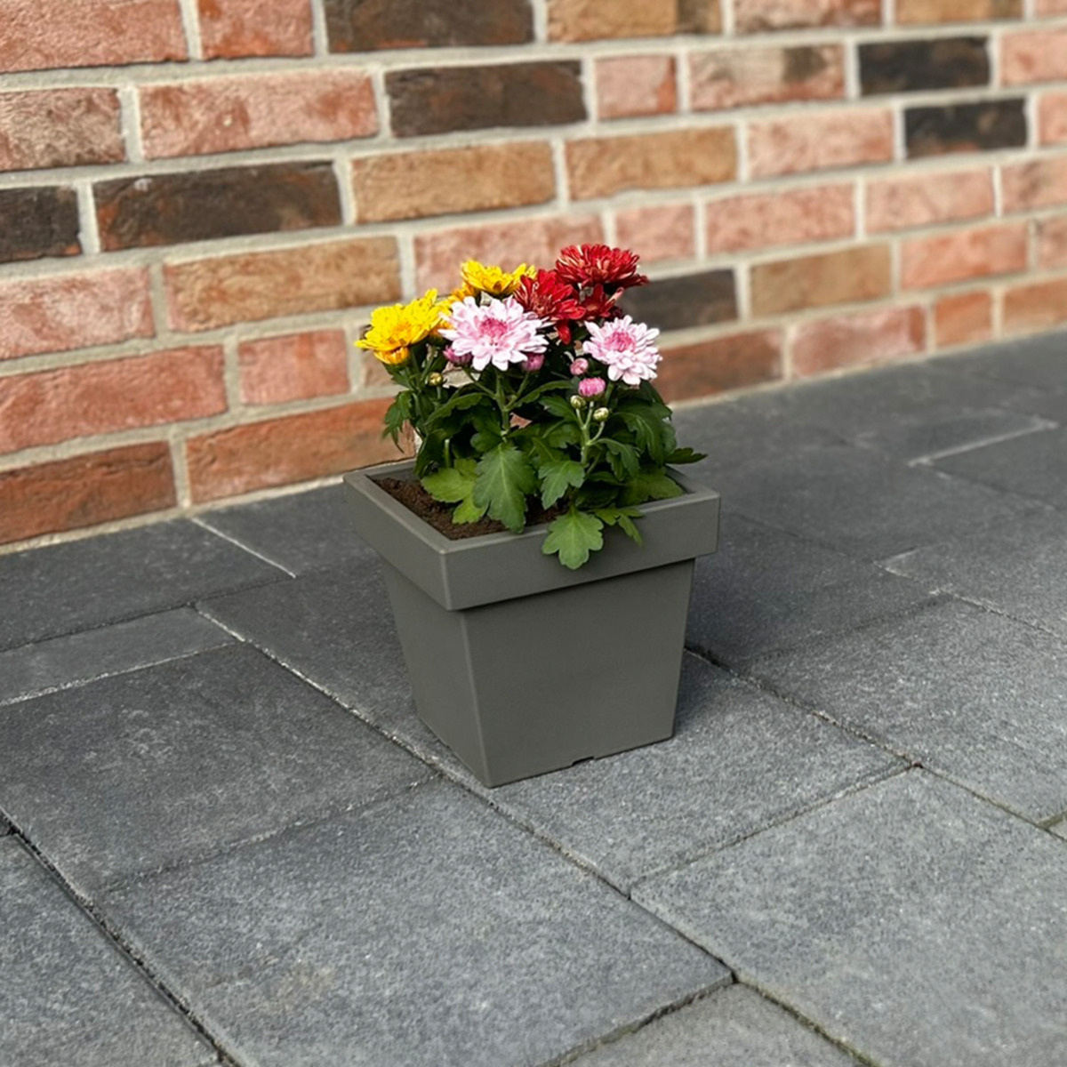 Bild 2 von Powertec Garden Pflanztopf „Vigo“ eckig - 4,0 L Steingrau