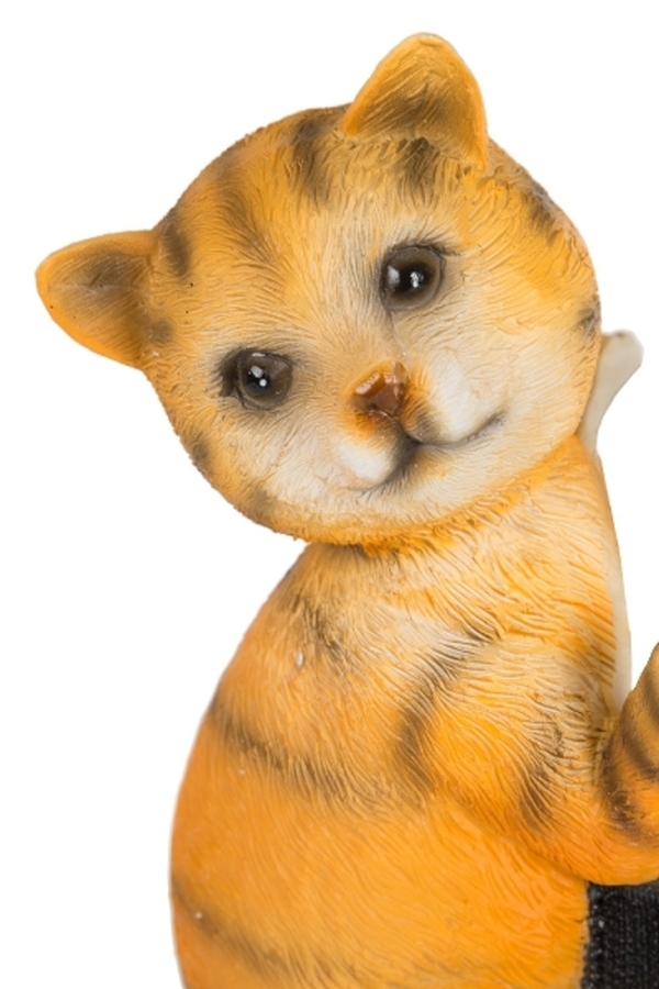 Bild 4 von MyFlair Fallrohr-Kletterer: Katzen, Set/2