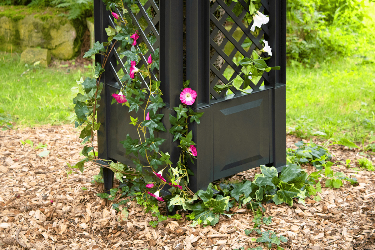 Bild 2 von KHW Spalier 43 cm mit zwei Erdspießen, 2er Set, anthrazit