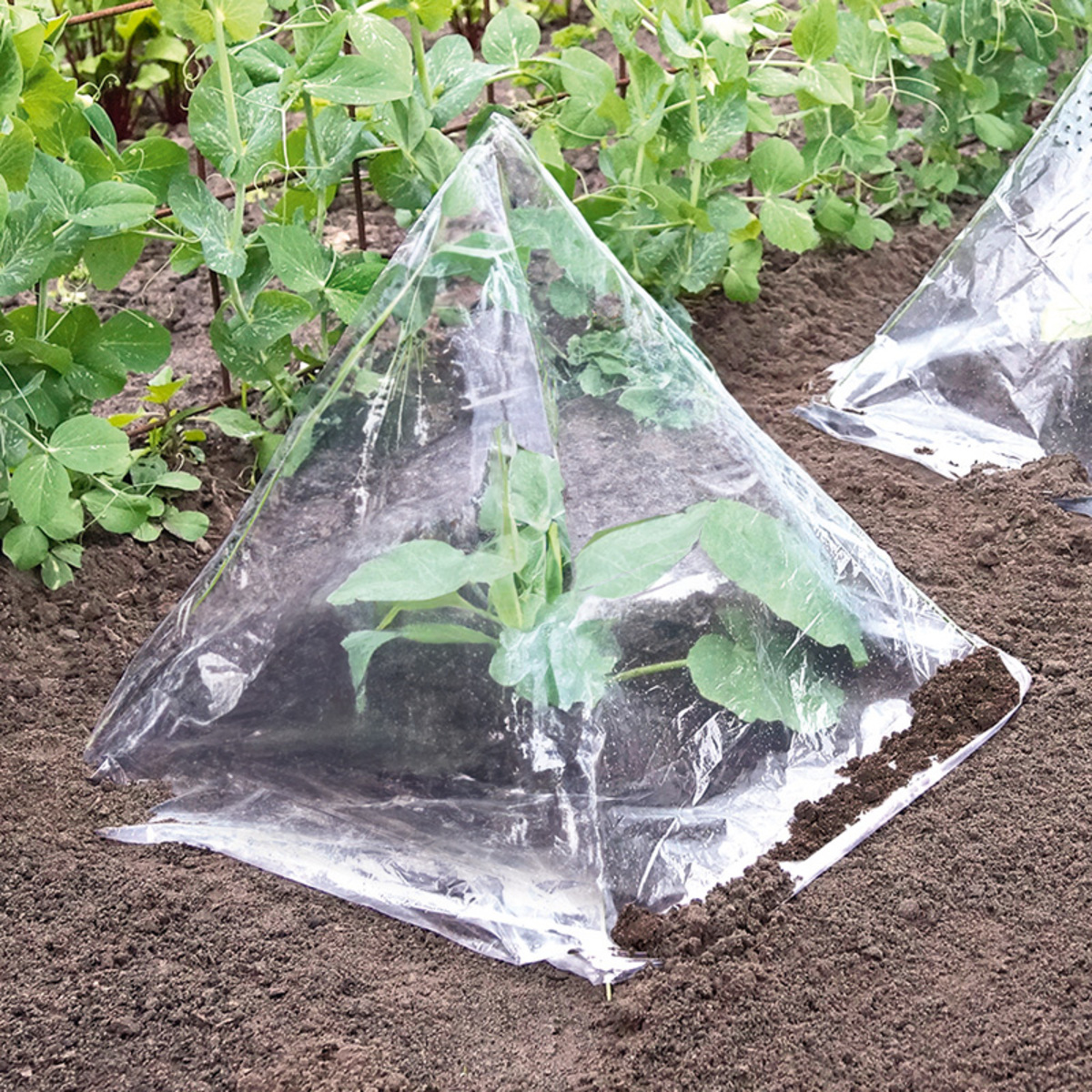 Powertec Garden MikroGewächshaus 6erSet von Norma ansehen!
