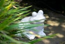 Bild 2 von dobar Keramik-Gartenfigur Frosch, Weiß, Gr. M