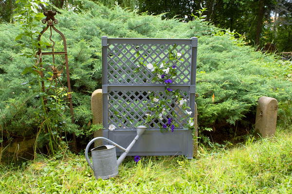 Bild 3 von KHW Spalier (2-tlg.) 100 cm mit Erdspieß, grau