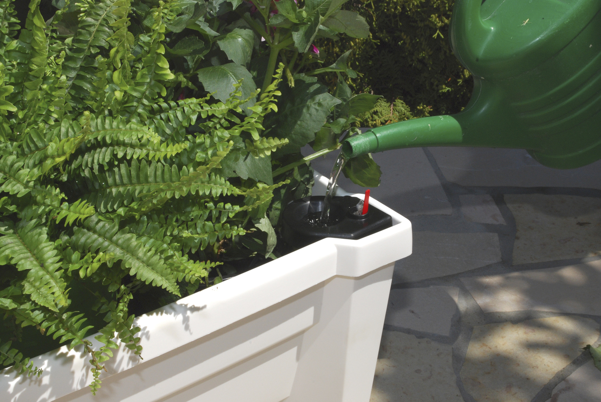 Bild 2 von KHW Calypso Pflanzkasten, weiß, auf Rollen mit Bewässerungssystem, modulares Spalier