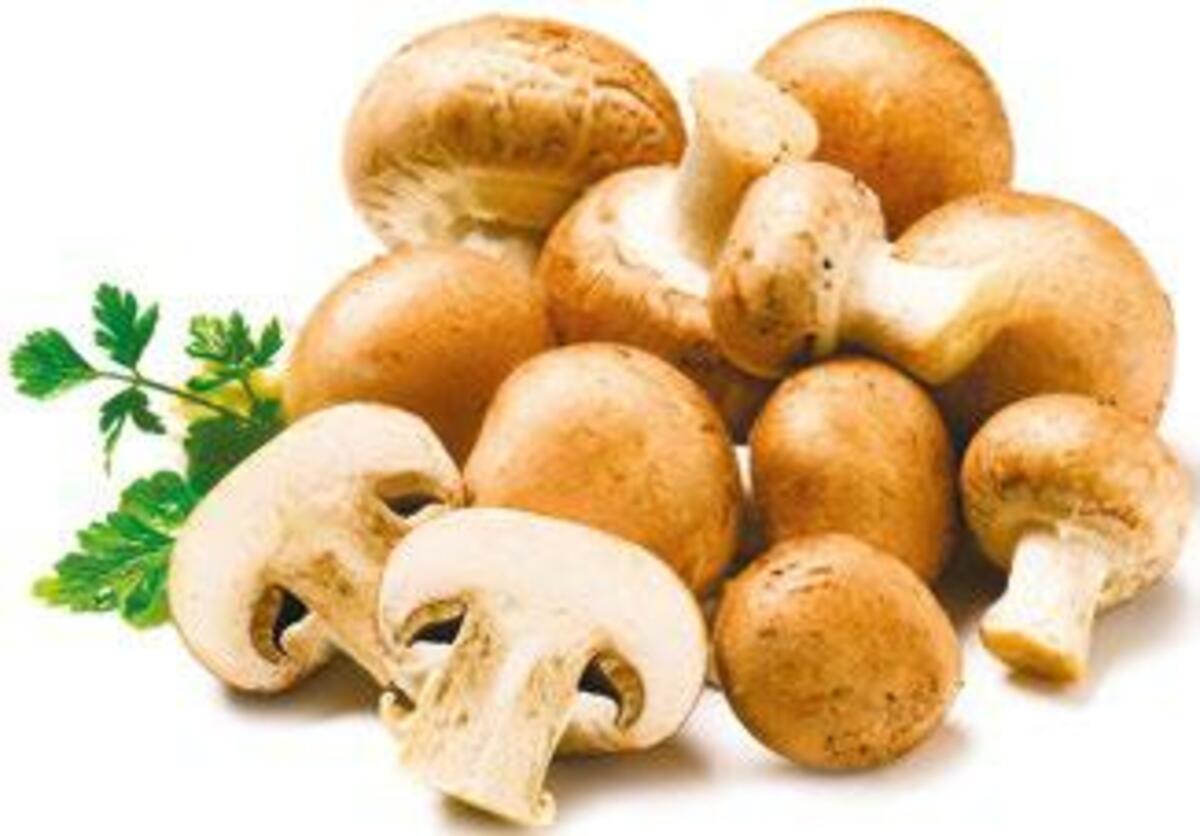 Bild 1 von Kulturchampignons braun 250 g