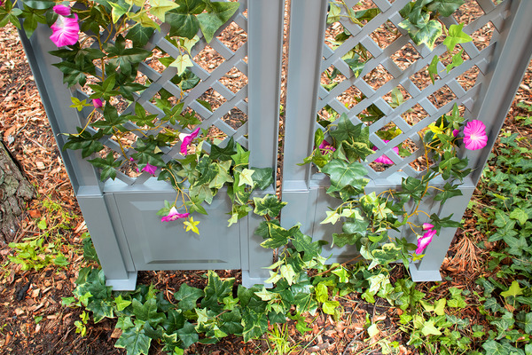 Bild 4 von KHW Spalier 43 cm mit zwei Erdspießen, 2er Set, grau