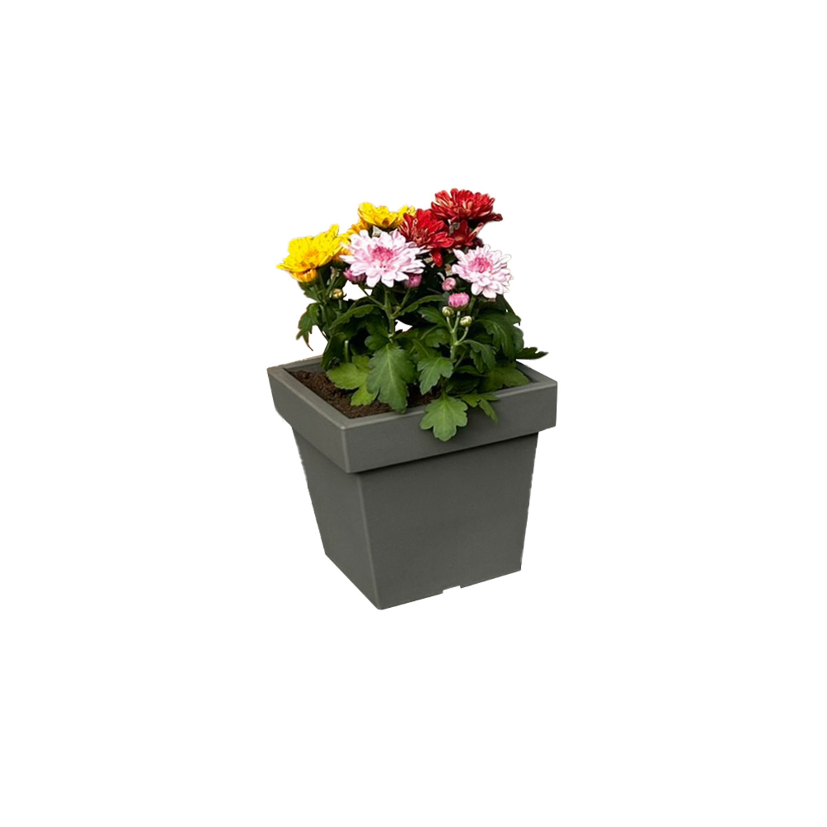 Bild 1 von Powertec Garden Pflanztopf „Vigo“ eckig - 4,0 L Steingrau