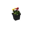 Bild 1 von Powertec Garden Pflanztopf „Vigo“ eckig - 4,0 L Anthrazit