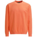 Bild 1 von Herren Sweatshirt unifarben ORANGE