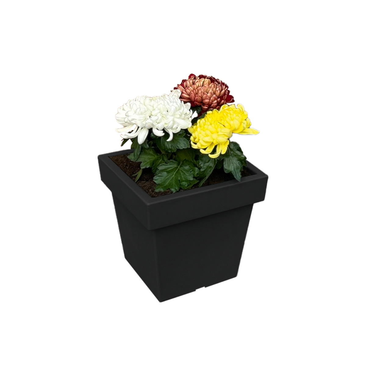 Bild 1 von Powertec Garden Pflanztopf „Vigo“ eckig - 7,5 L Anthrazit