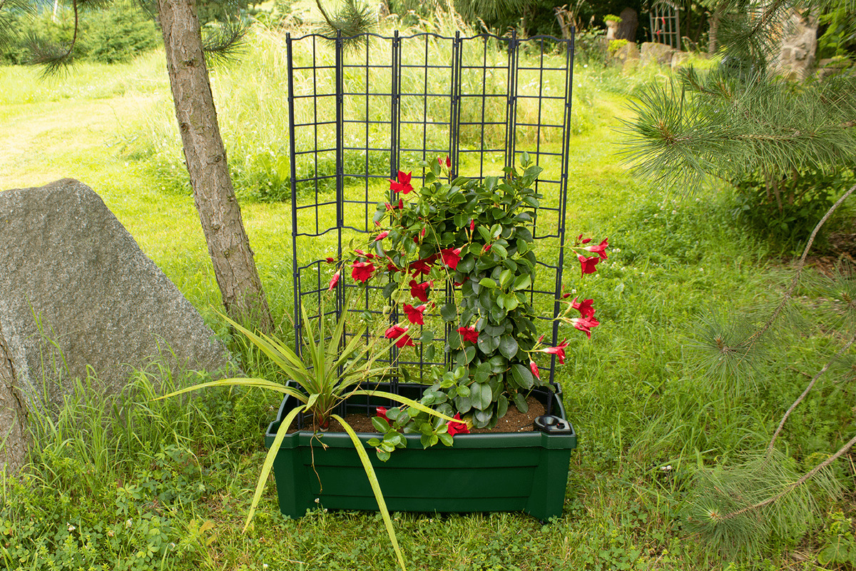 Bild 1 von KHW Calypso Pflanzkasten, grün, auf Rollen mit Bewässerungssystem, modulares Spalier