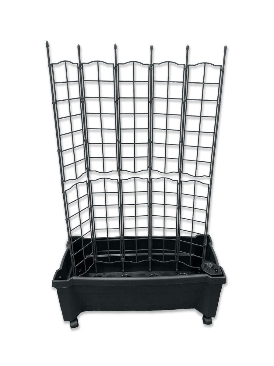 Bild 1 von KHW Calypso Pflanzkasten, anthrazit, auf Rollen mit Bewässerungssystem, modulares Spalier