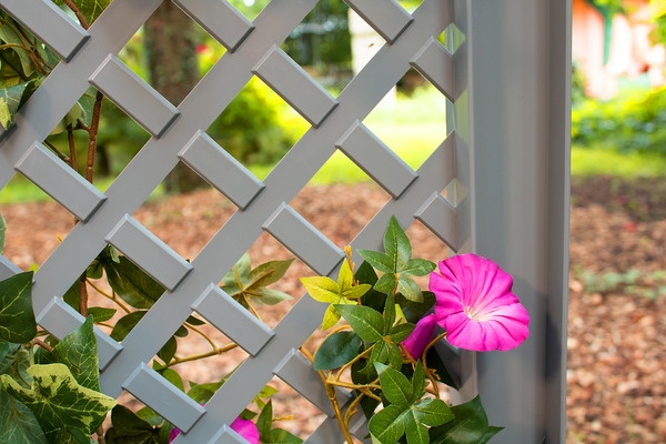 Bild 3 von KHW Spalier 43 cm mit zwei Erdspießen, 2er Set, grau