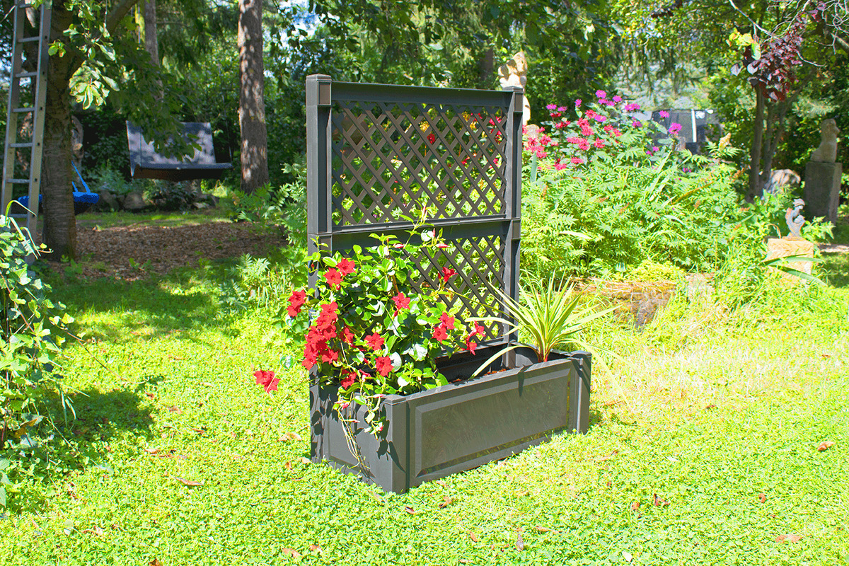 Bild 2 von KHW Pflanzkasten groß mit Spalier (2-tlg.) 100 cm, anthrazit