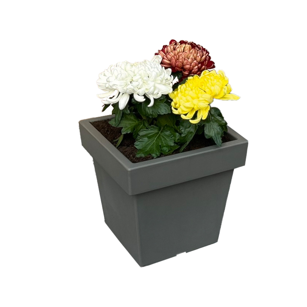 Bild 1 von Powertec Garden Pflanztopf „Vigo“ eckig - 7,5 L Steingrau