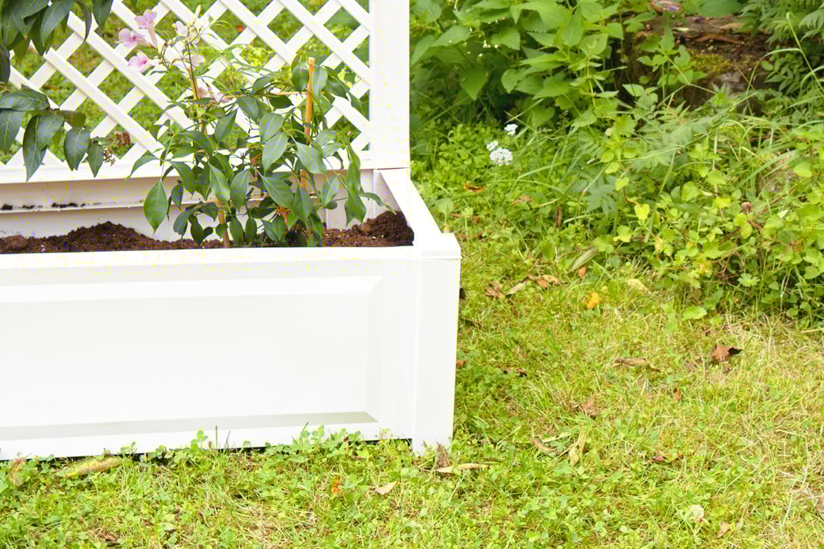 Bild 4 von KHW Pflanzkasten groß mit Spalier (2-teilig) 100 cm weiß