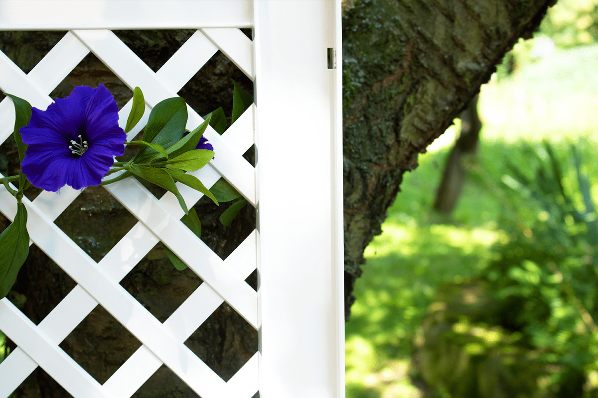 Bild 2 von KHW Spalier 43 cm mit zwei Erdspießen, 2er Set, weiß