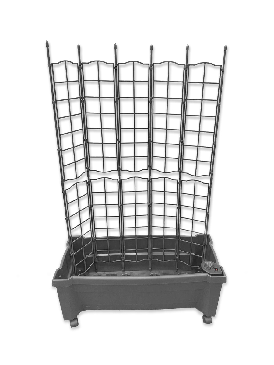 Bild 1 von KHW Calypso Pflanzkasten, grau, auf Rollen mit Bewässerungssystem, modulares Spalier