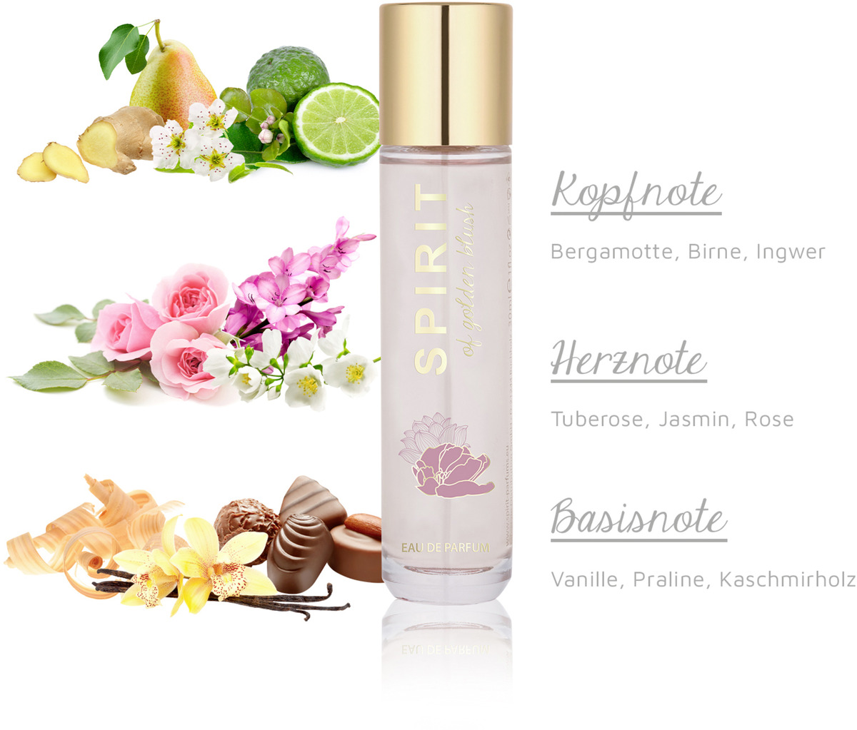 Bild 3 von SPIRIT Spirit of golden blush, EdP 30 ml