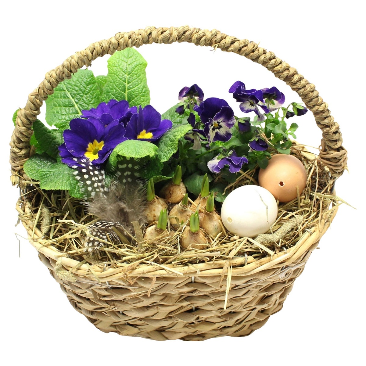 Bild 1 von GARDENLINE Kalanchoe­-Schale oder -­Henkelkorb