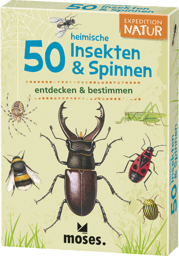 Bild 1 von moses. Expedition Natur - 50 heimische Insekten & Spinnen