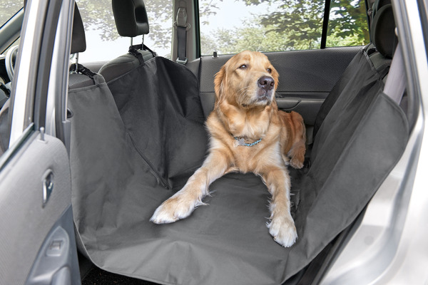 Bild 2 von IDEENWELT Autoschondecke