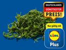 Bild 1 von Rucola, 
         125 g