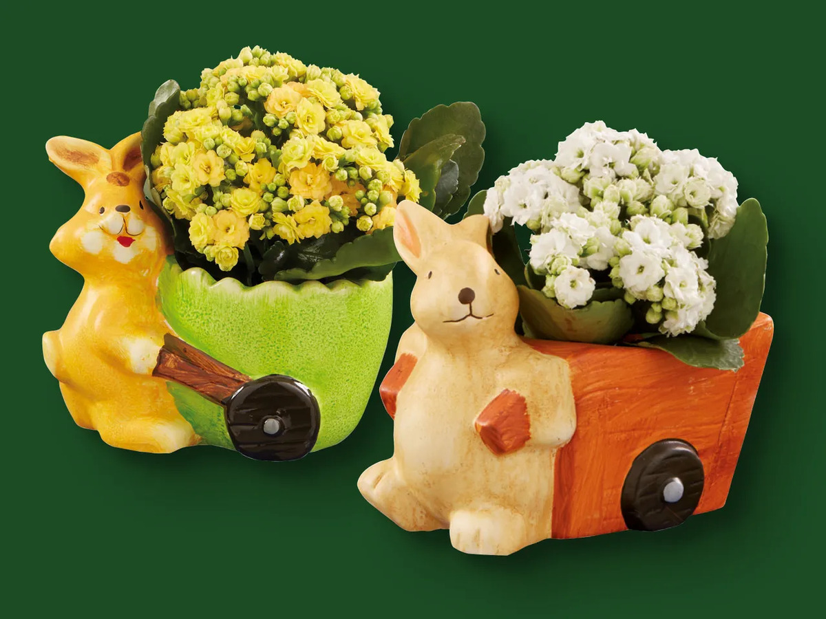 Bild 1 von Bepflanzter Keramikosterhase, 
         Stück