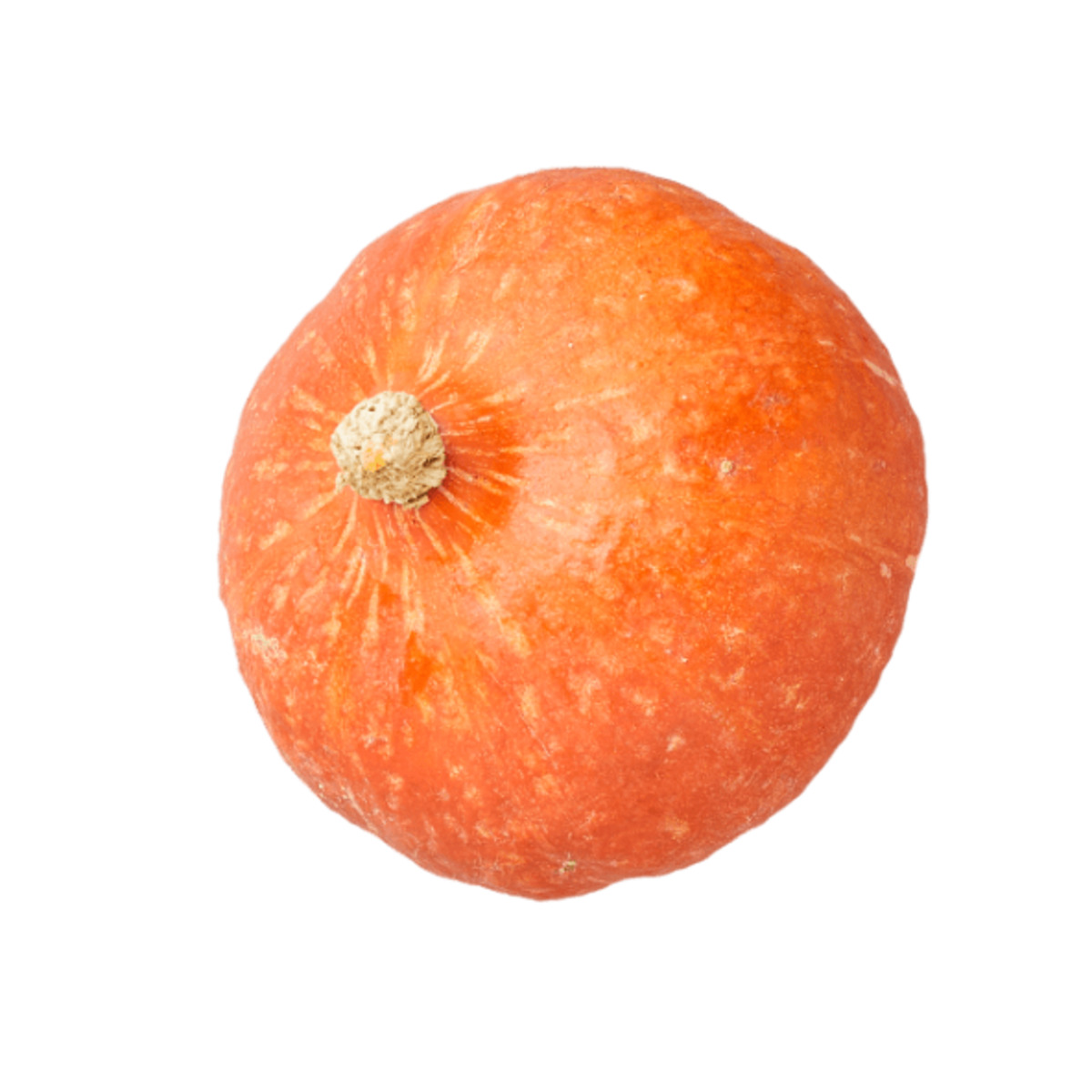 Bild 1 von Bio-Speisekürbis „Hokkaido“