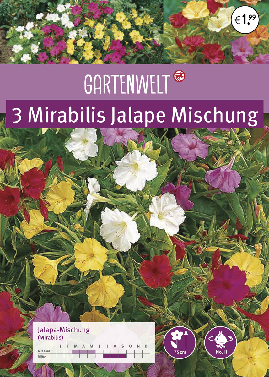 Bild 1 von GARTENWELT Mirabilis Jalape Mischung