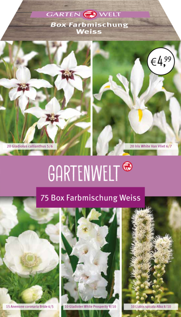 Bild 1 von GARTENWELT Blumen-Box Farbmischung Weiss