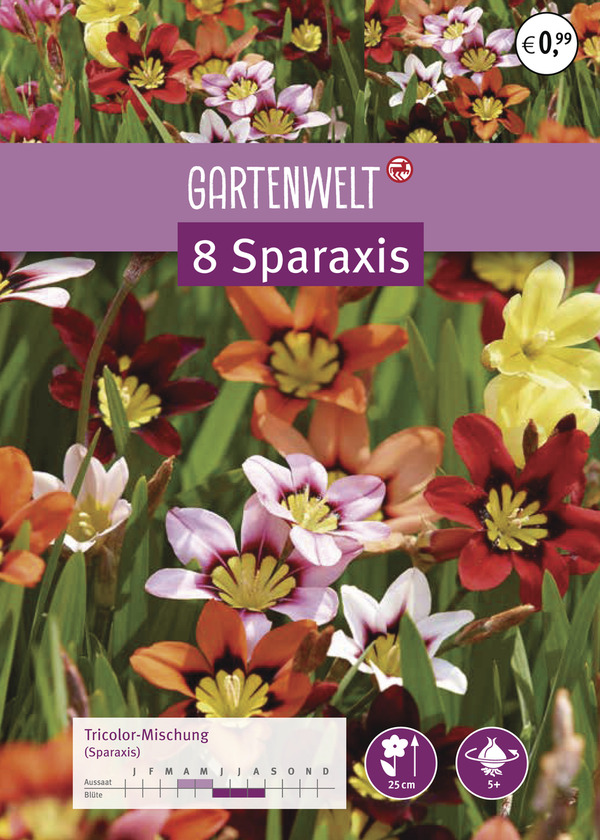 Bild 1 von GARTENWELT Sparaxis Tricolor-Mischung