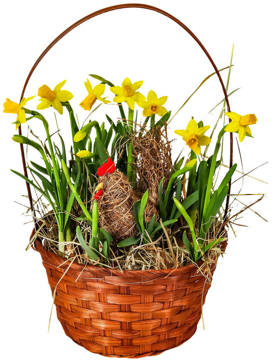 Bild 1 von Osterarrangements