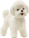 Bild 1 von Schleich 13963 Bichon Frisé