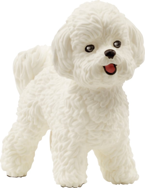 Bild 1 von Schleich 13963 Bichon Frisé