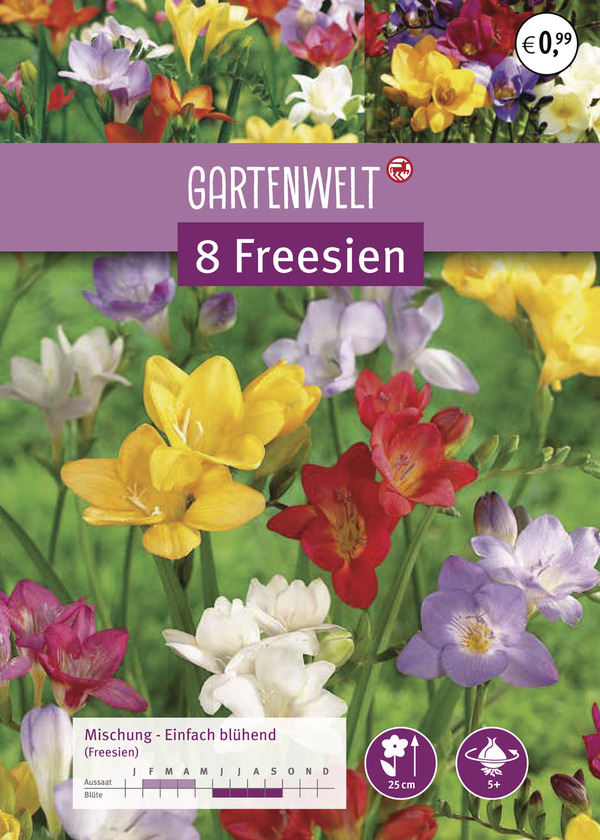 Bild 1 von GARTENWELT Freesien Einfache Mischung