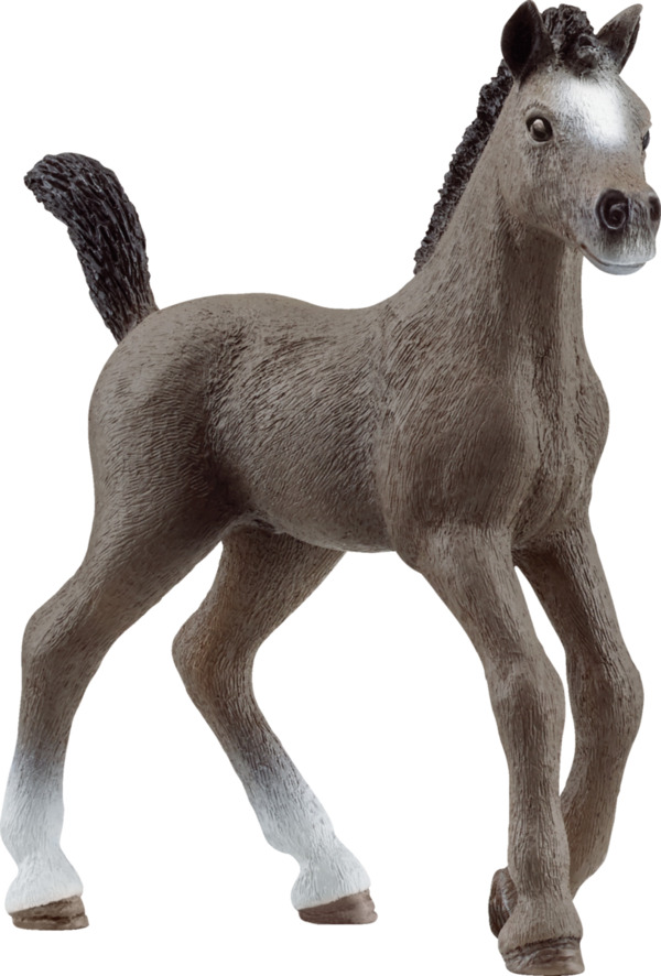 Bild 1 von Schleich 13957 Cheval de Selle Francais Fohlen